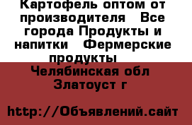 Картофель оптом от производителя - Все города Продукты и напитки » Фермерские продукты   . Челябинская обл.,Златоуст г.